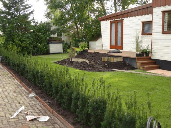 Nieuwe achtertuin met gazon, haag langs oprit en houten terras bij woning.