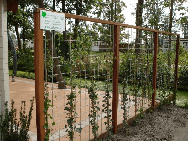 Houten schutting met gaas en klimop; bord Van der Velden & Willemse.