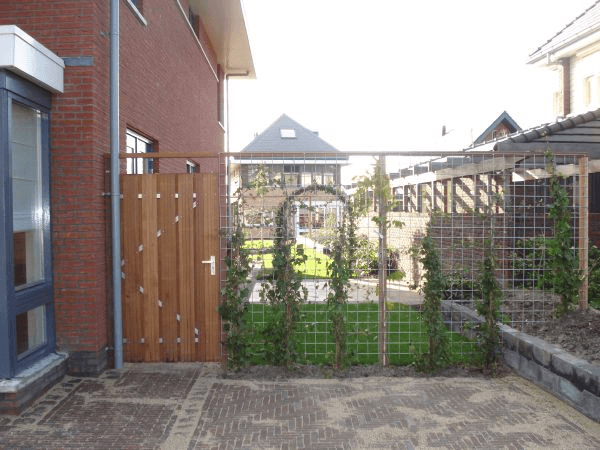 Houten poort en draadgaas-trellis naast klinkerpad; achtertuin met gazon en bestrating.